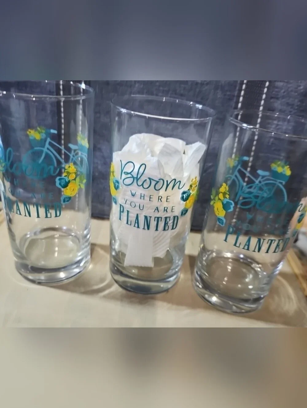 3 Crisa Libbey High Ball Ice Tea Drinking Glasses Bicycles & Blooms 16oz. EUC